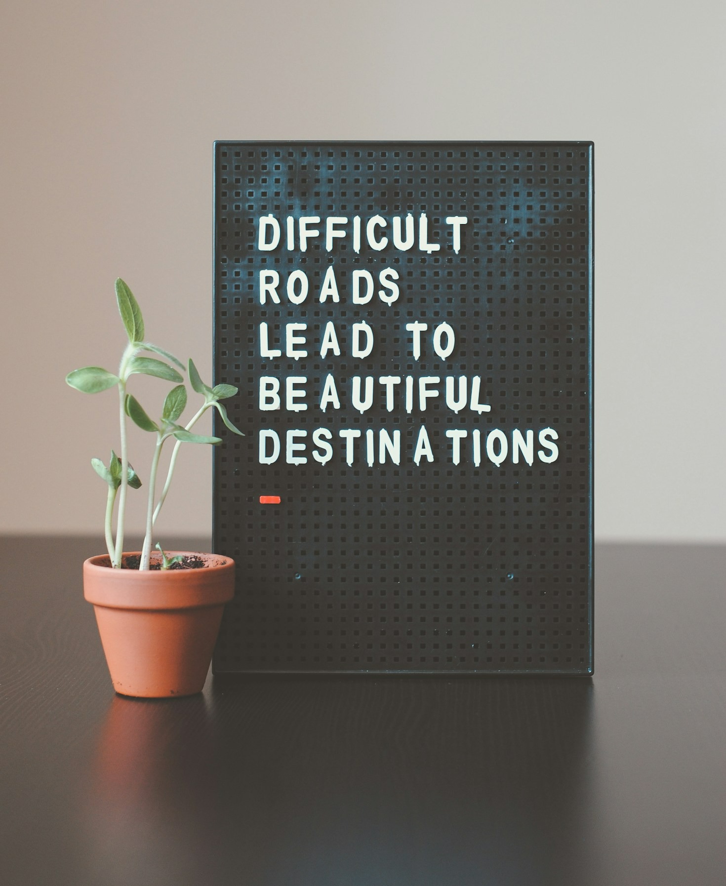 Lessons from My Transition from Accountant to Author